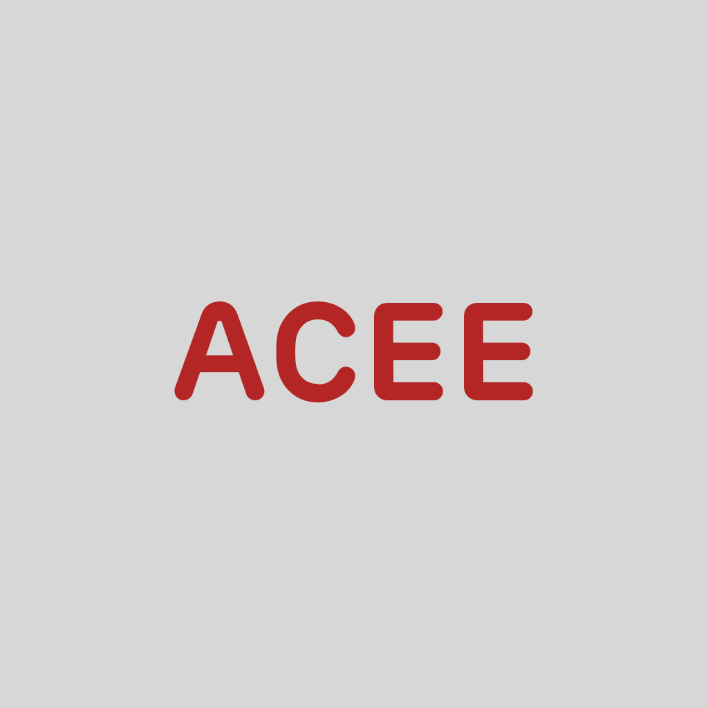 ACEE Holding